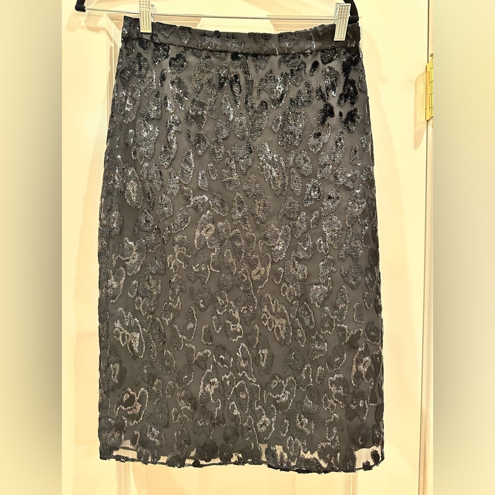 J Crew Skirt